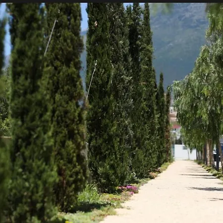 Sunset & Sage Santorini