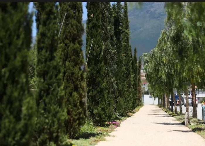 Sunset & Sage Santorini